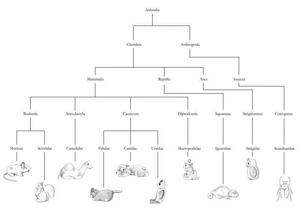Taxonomy Classification of Living Things