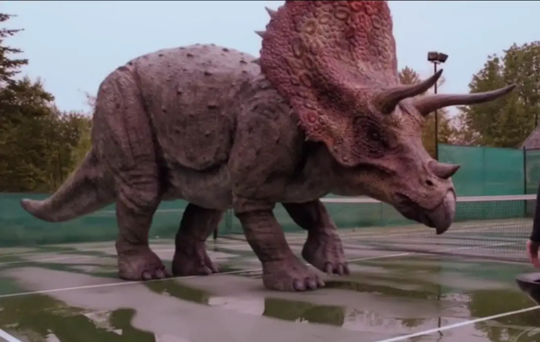 Triceratops Facts For Kids | The Last Dinosaurs