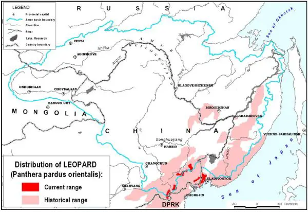 AMur leopard distribution map