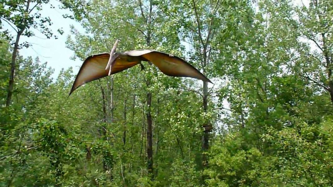 Pterodactyl Facts A Prehistoric Flying Reptile