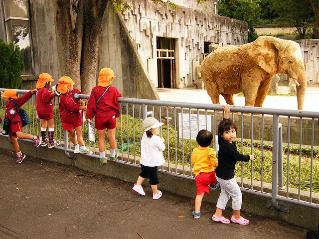 10 Simple Rules To Children In Zoos - Animals Time
