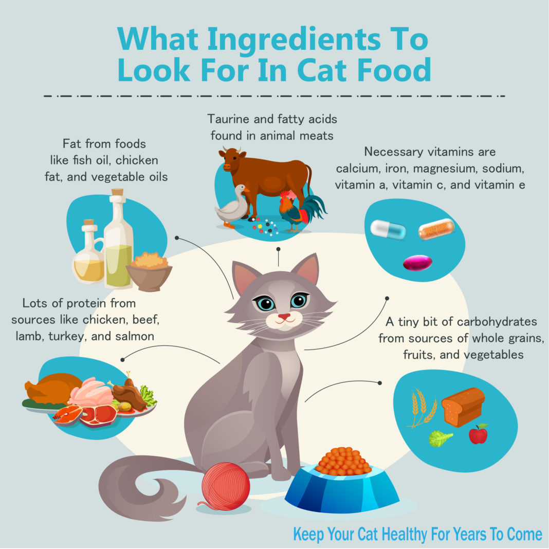 Cat Food Nutrition Chart Is Free Feeding Bad For Cats At Carol Diaz Blog