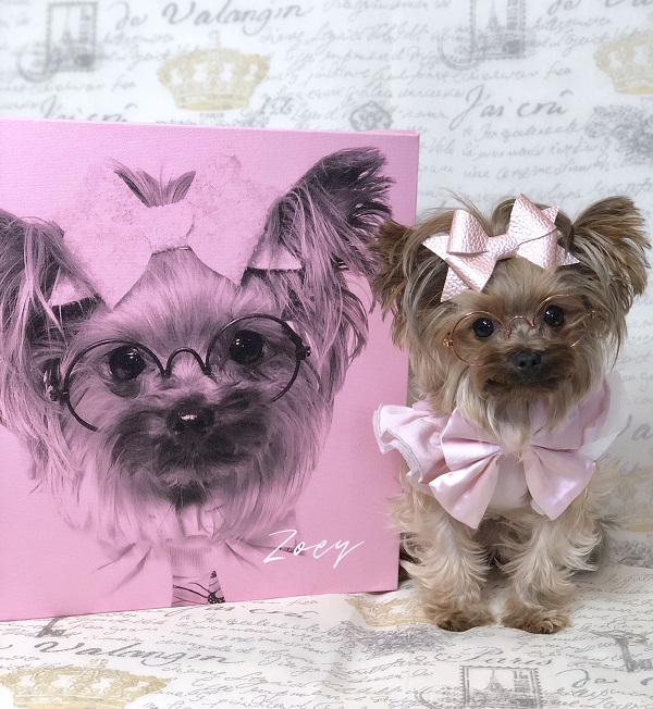 CanvasPop – Get Custom Pet Portraits for Your Babies