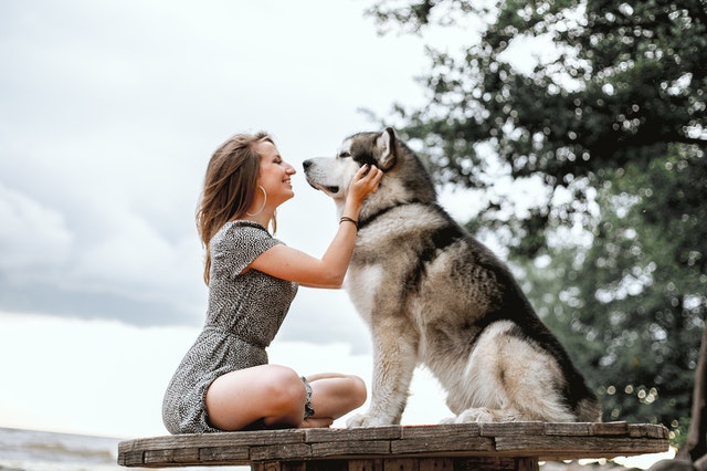 Unconditional Love: Reasons Why People Love Pets