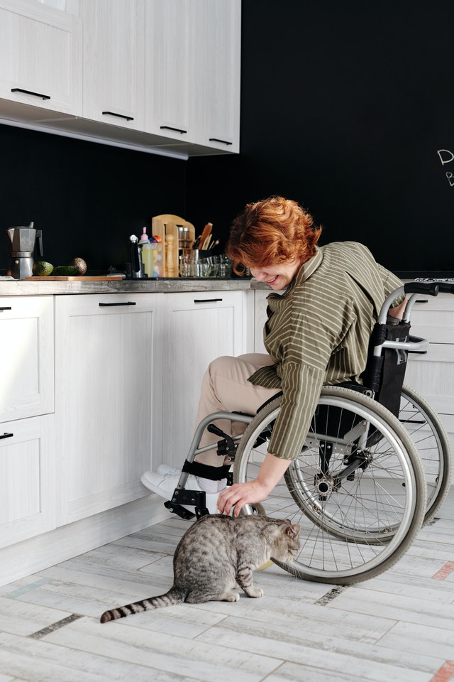 woman-sitting-on-wheelchair-while-touching-her-cat-4064423