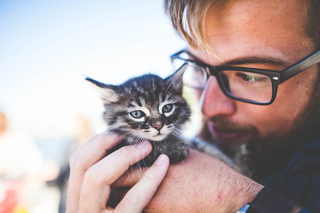 6 Things You Must Know Before Taking up a Career in Animal Care