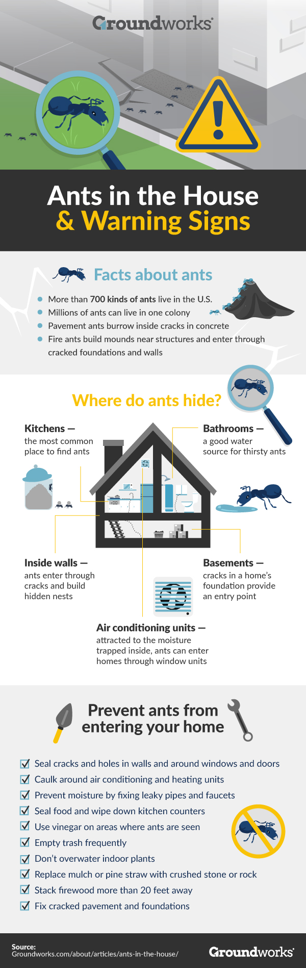 Tips on Avoiding Ant Infestations at Home