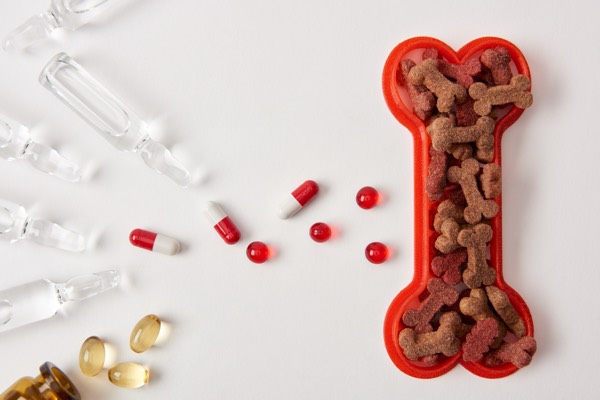 elevated view of plastic bone with dog food, various pills and ampoules with medical liquid on white surface