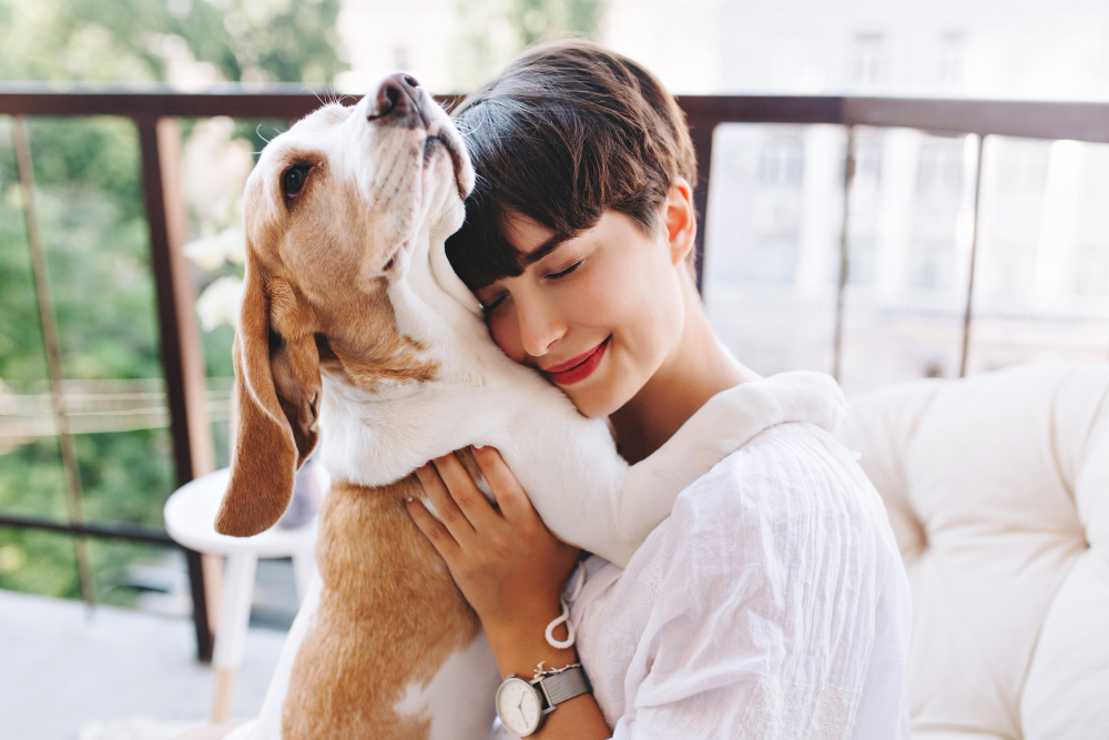 How to Take Care of Your Pet While Studying at the University