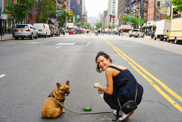 5 Tips For Dog Parents Living In The Big Apple 