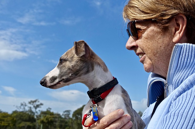 Service Animals And Assistance Animals For People With Disabilities