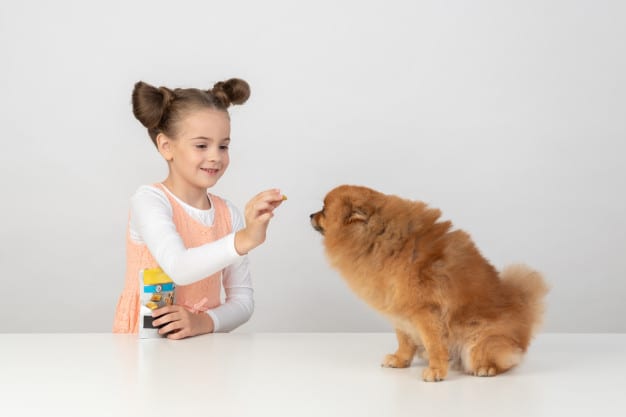 7 Reasons Why Kids Should Have Pets