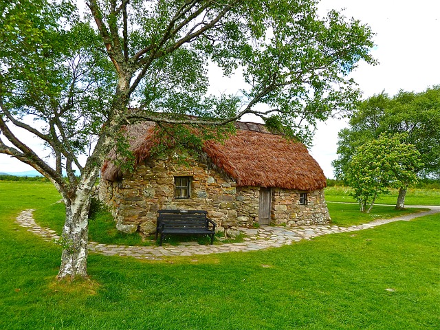 Homesteading 101: Simple Tips on How to Set Up a Small Farm at Home