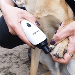 Luckytail Dog Nail Grinder Review