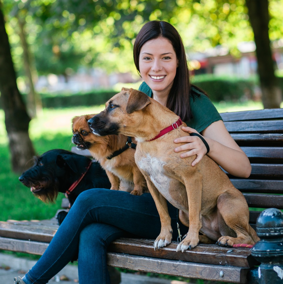 Professional Pet-Sitting Refocuses Post-Pandemic