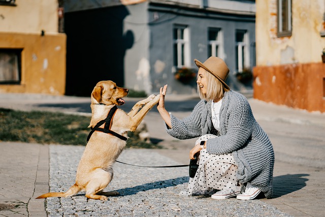 How to Meet Someone Who Loves Animals, Just Like You Do?