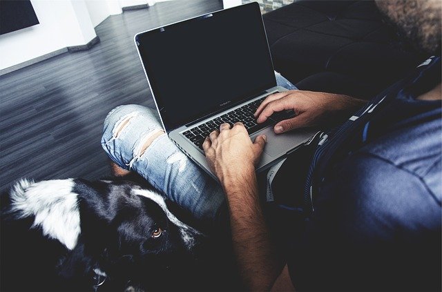 Effective Tips for Working Home with Pets