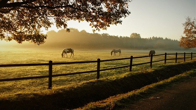 Everything You Need to Know About Visiting a Dude Ranch