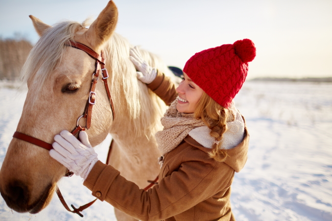 How To Protect Your Horse During Winter?