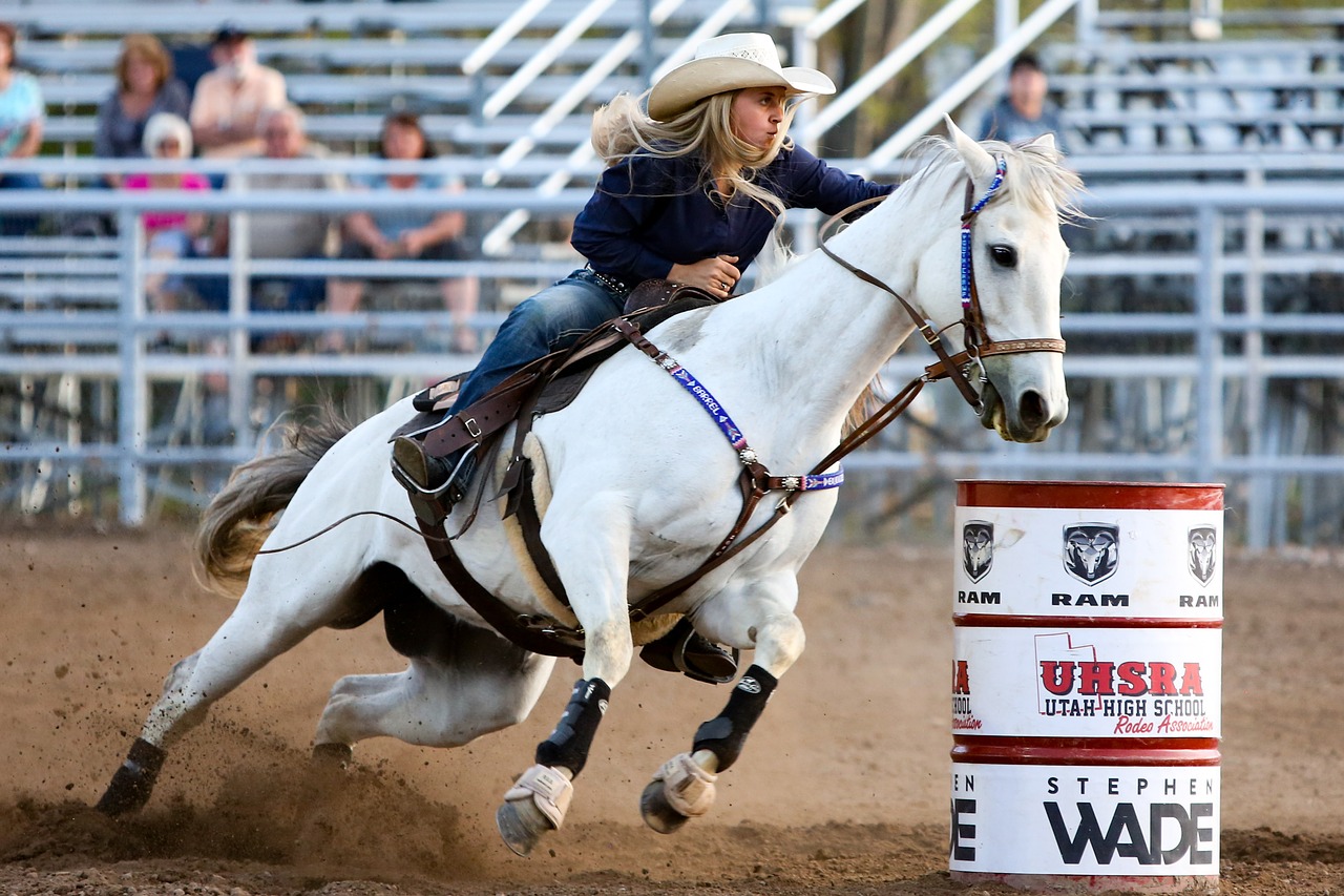 Fascinating Facts About Horses That Might Interest You