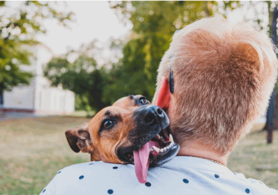 8 Signs You’re Ready for a Pet