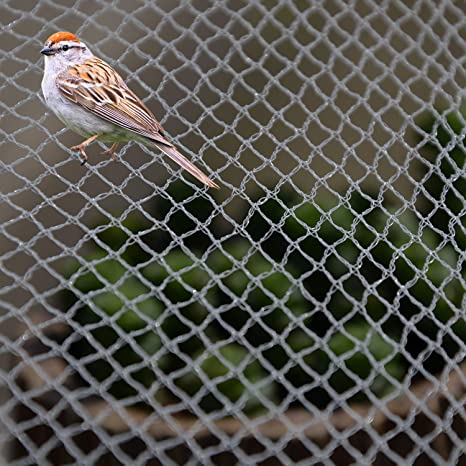 How Anti-Bird Netting is Helping Businesses in Coventry