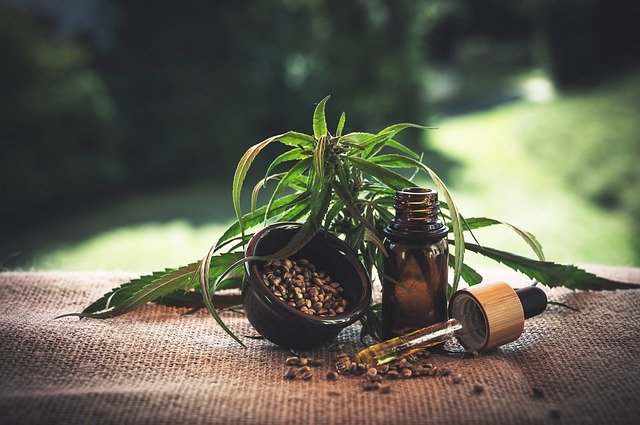 6 Reasons for the Rise of CBD Use in Pets