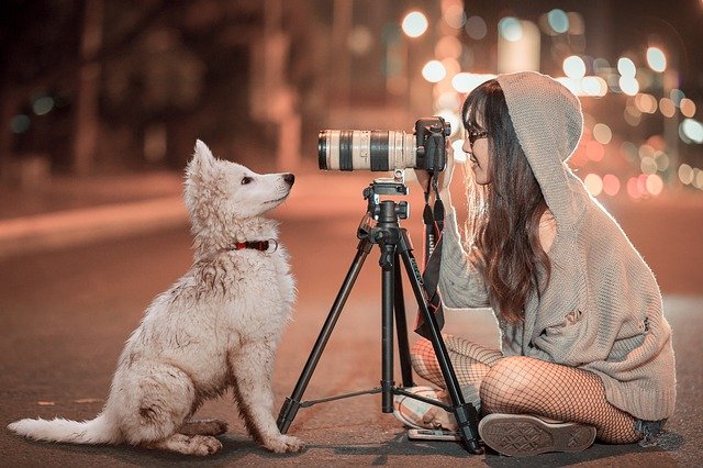 Tips on Pet Photography