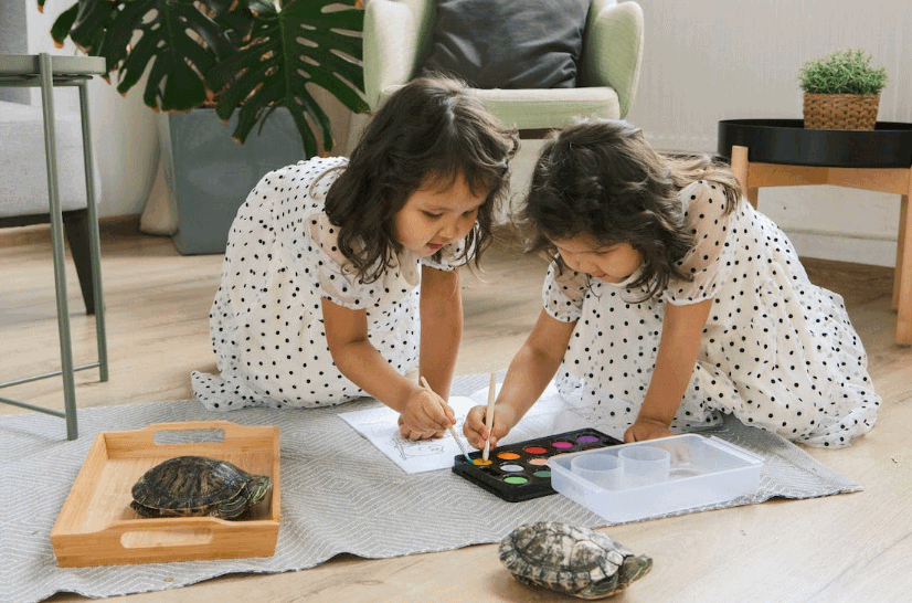 Ultimate Beginner’s Guide For Taking Care Of Your Turtle