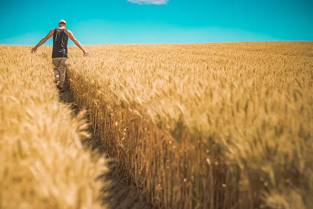 The 3 Essentials To Managing Your Farm Work In The Winter