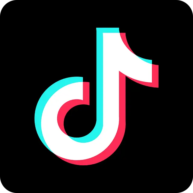 5 Tips for Growing a Successful Pet Blog on TikTok